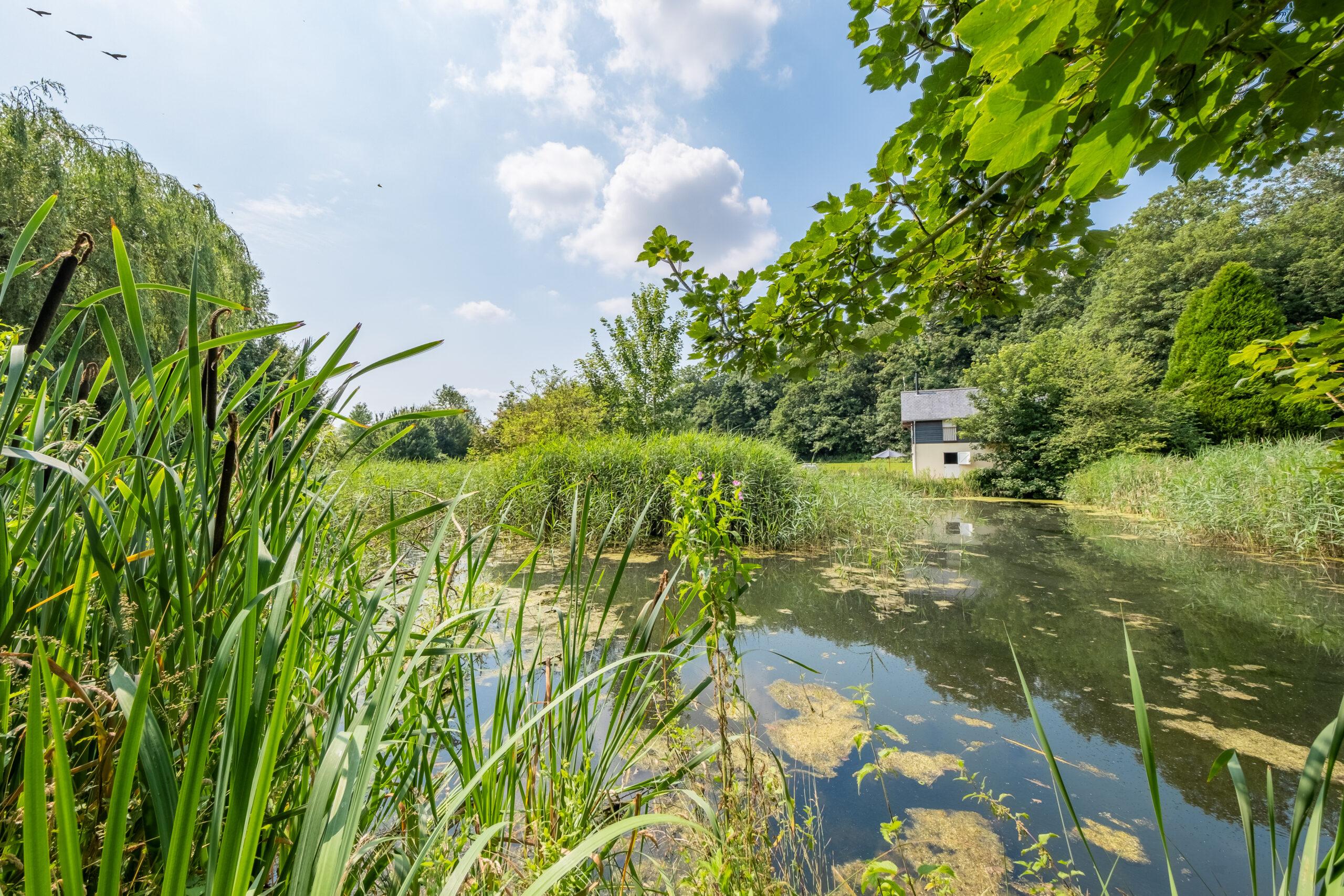 suffolk holiday cottages